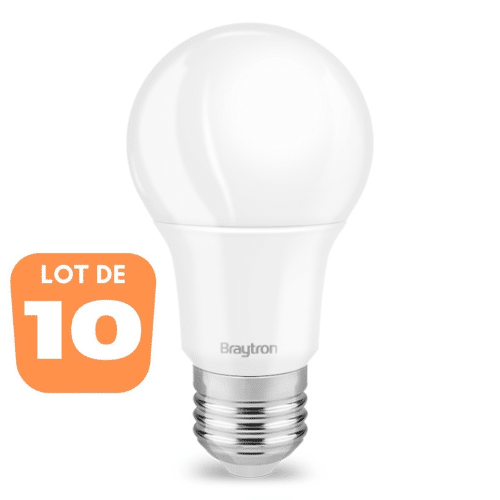 Lot de 10 ampoules LED E27 dimmables A60