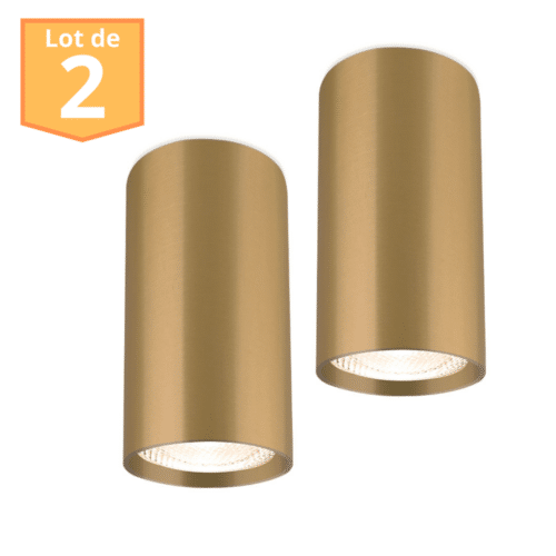 Lot de 2 plafonniers alu GAMA-5510C