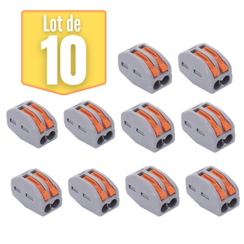Lot de 10 bornes de connexion 2 fils