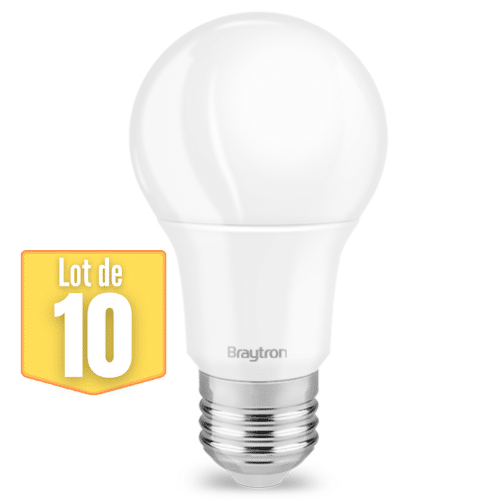 Le lot de 10 ampoules LED A60