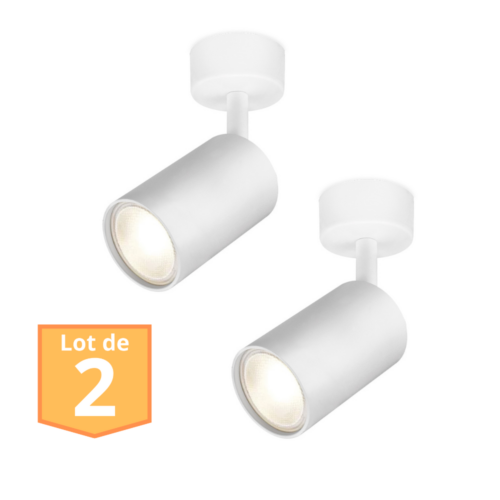 Lot de 2 Spots de plafond orientables blanc